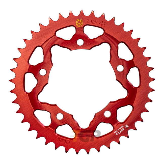 Sitta Alüminyum Dişli BMW S1000RR K67 (19-26) (207Y) – 37-47 Diş, 525 Aralık 