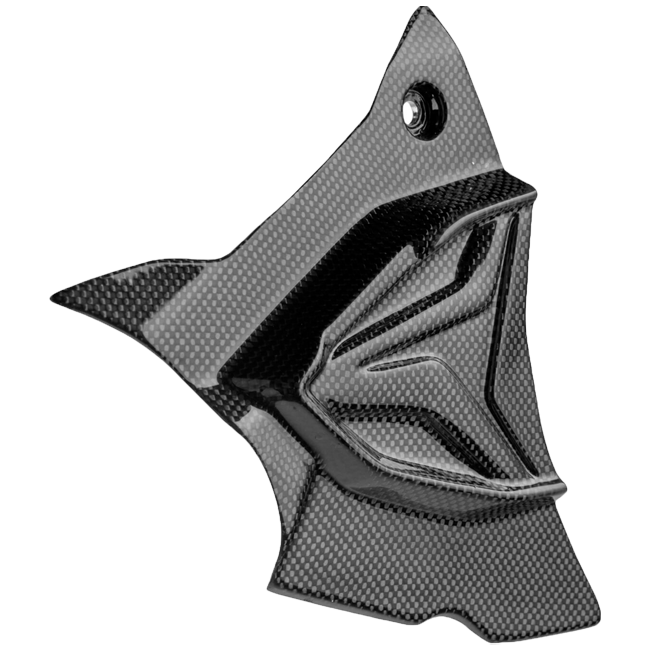 Ritzel kapak karbon LighTech BMW S1000RR K67 (19-26) CARB1945 