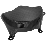 Lichtmaschinen kapak karbon LighTech Ducati Panigale V4/S/R (18-24) CARD0840 