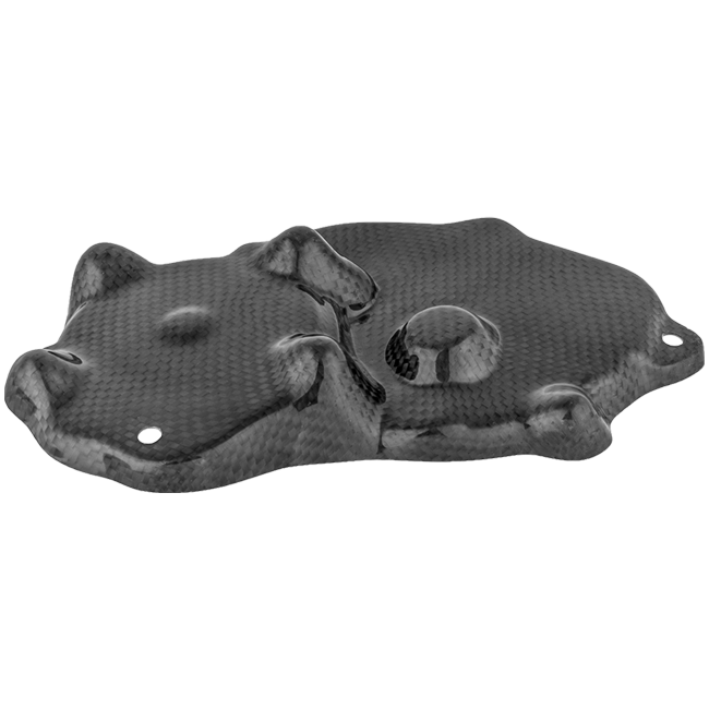 Kawasaki ZX-6R/636/RR (09-26) CARK9518 için LighTech Karbon Pick-Up Kapağı 