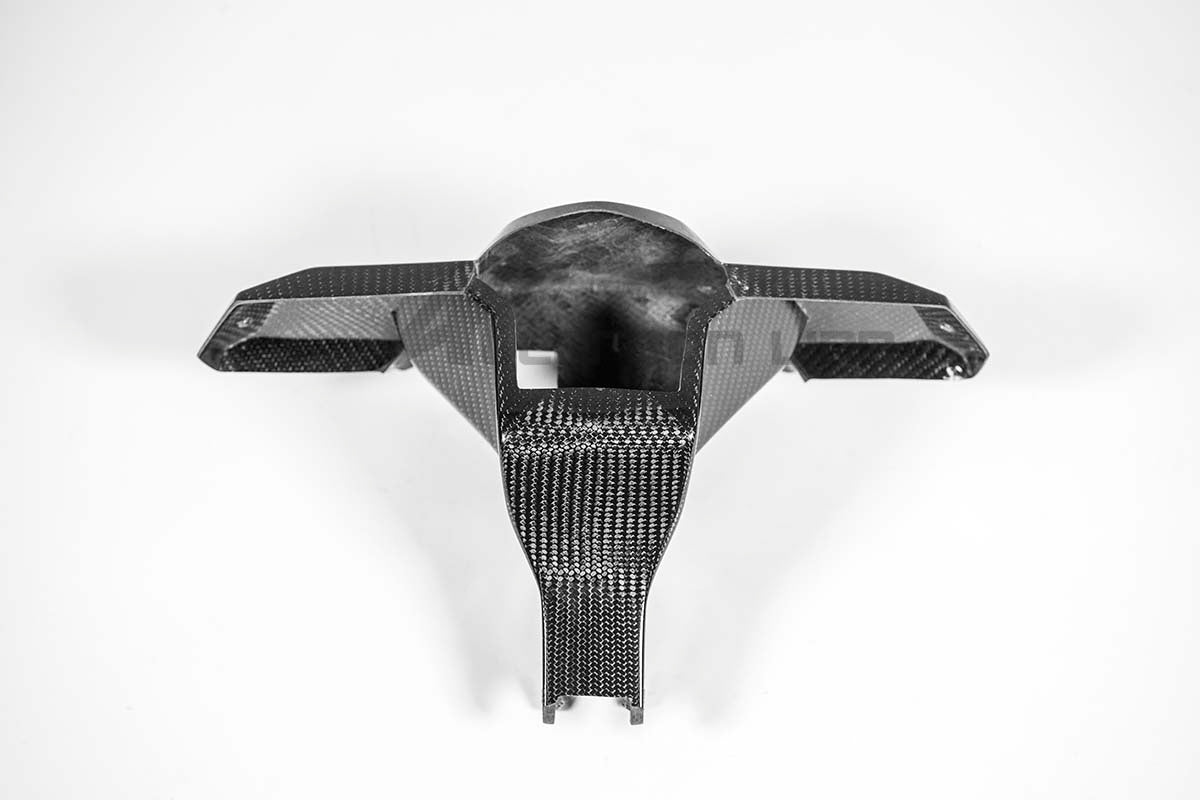 Alet tutucu 200g AP Karbon Serisi Aprilia RSV4/RR/1100 Fabrika (21-25) 