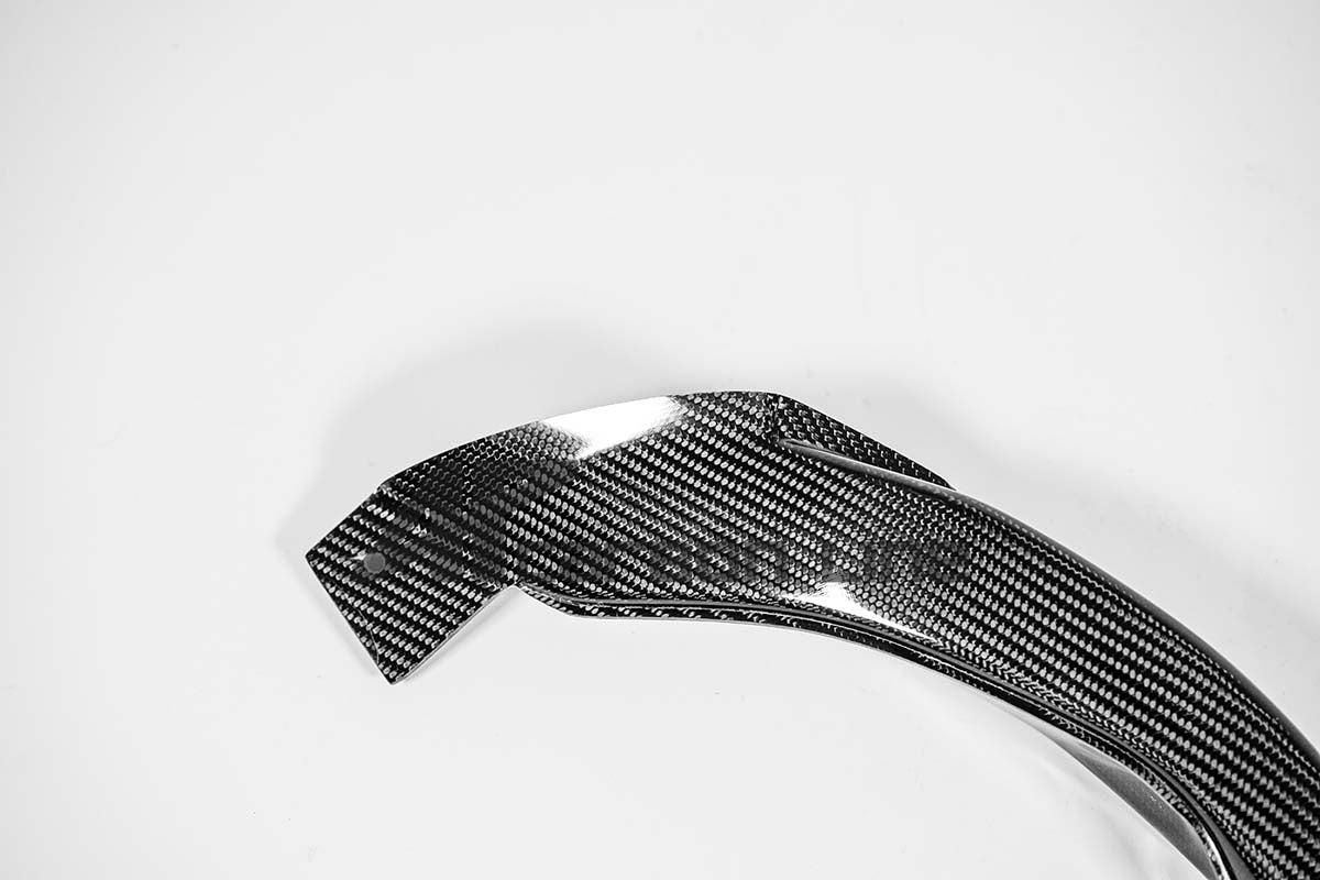 Hava kanalları 200g AP Carbon Line Aprilia RSV4/RR/1100 Factory (21-25) 