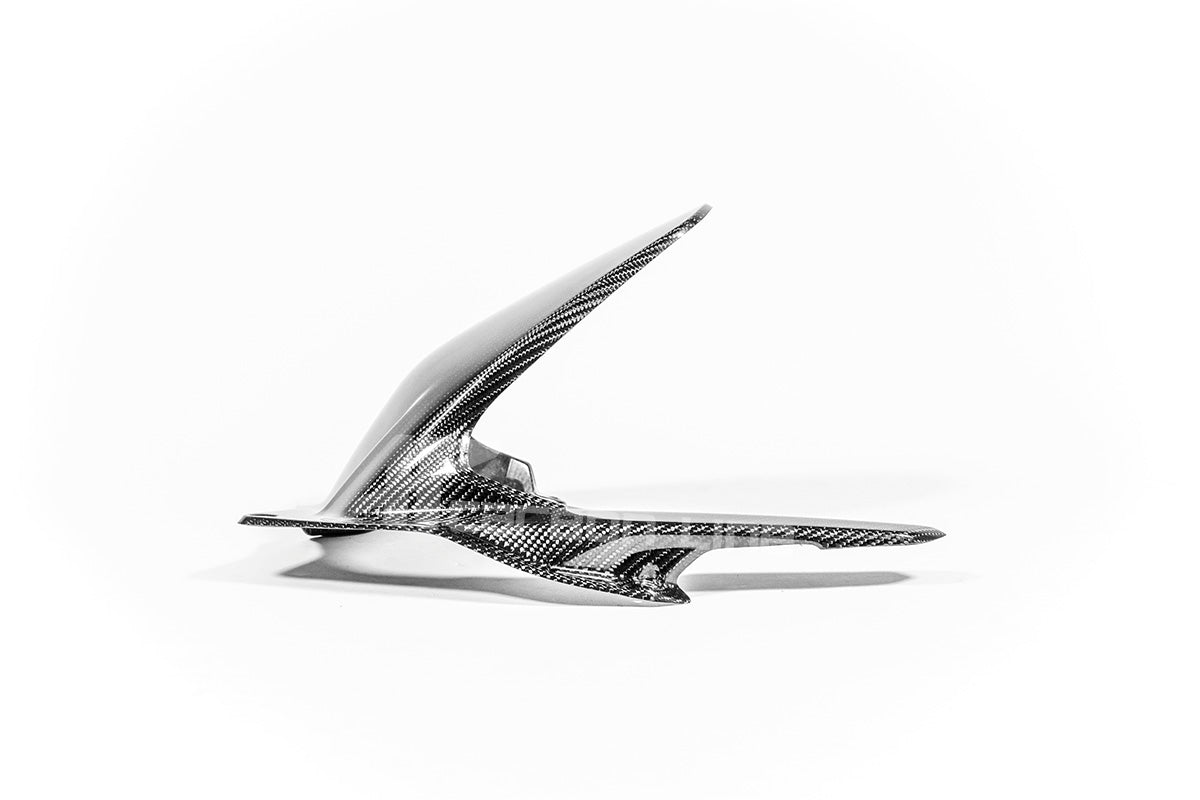 Arka çamurluk 200g AP Karbon Hattı Ducati Panigale V4/S/R (25-26) 