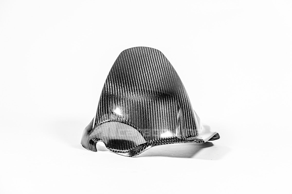 Arka çamurluk 200g AP Karbon Hattı Ducati Panigale V4/S/R (25-26) 