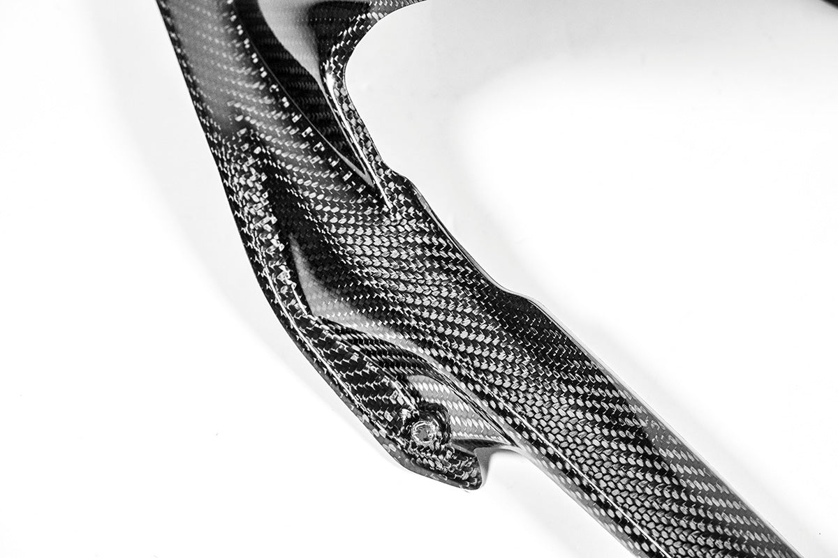 Arka çamurluk 200g AP Karbon Hattı Ducati Panigale V4/S/R (25-26) 