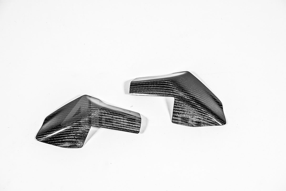 Tank koruma Koruyucular 200g AP Karbon Hattı Ducati Panigale V4/S (2025) 