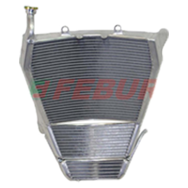 Yarış Kiti-Radyatör Febur BMW S1000RR K46 (09-18) FE1258S 