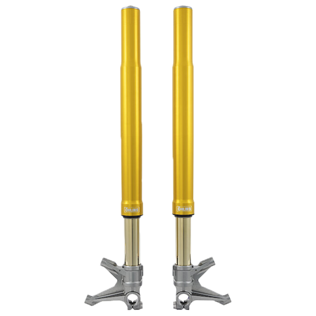 Öhlins FGR 250 Yarış Fork USD Teleskopik Fork Yarış 