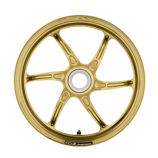 OZ Cattiva Magnezyum Arka Jant Ducati Panigale 1299/S (15-18) C6012DU60X 