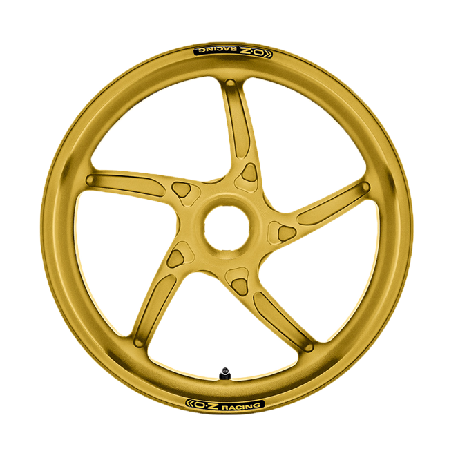 OZ Piega R Alüminyum Arka Jant Ducati Panigale V2 955 (20-24) R61476007 