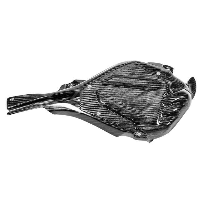 ECU Kapağı dahil soğutma kanalı 200g AP Carbon Line Yamaha YZF-R1/M RN65 (20-26) 