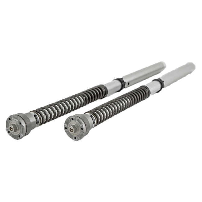 Öhlins NIX 30 Kartuş Kiti FGK 224 Ducati Panigale 1299 (15-18) 