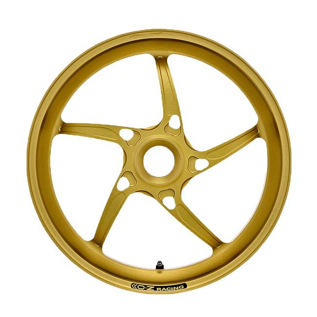OZ Piega Alüminyum Arka Jant Ducati Panigale V2 955 (20-24) P6012DU55 