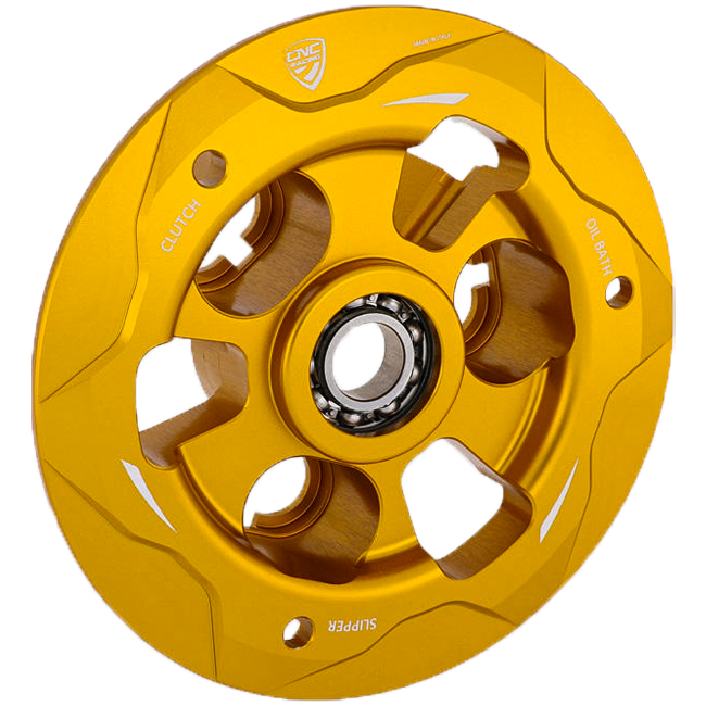 Ducati Panigale V4/S (25-26) SP201 CNC Yarış Baskı Plakası 