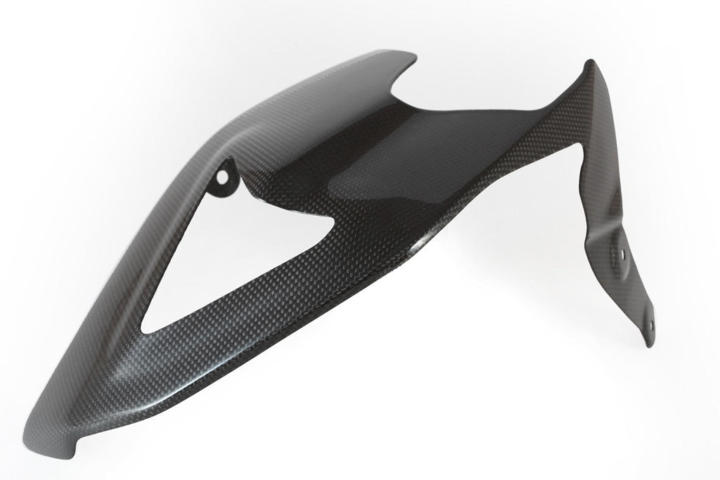 Fullsix Karbon Salıncak Kapağı Ducati Panigale 1199/R/S (12-17) 