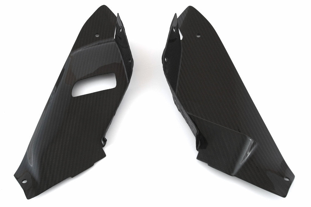 İç parçalar Bugspoiler Carbon Fullsix BMW S1000RR K46 (15-18) 