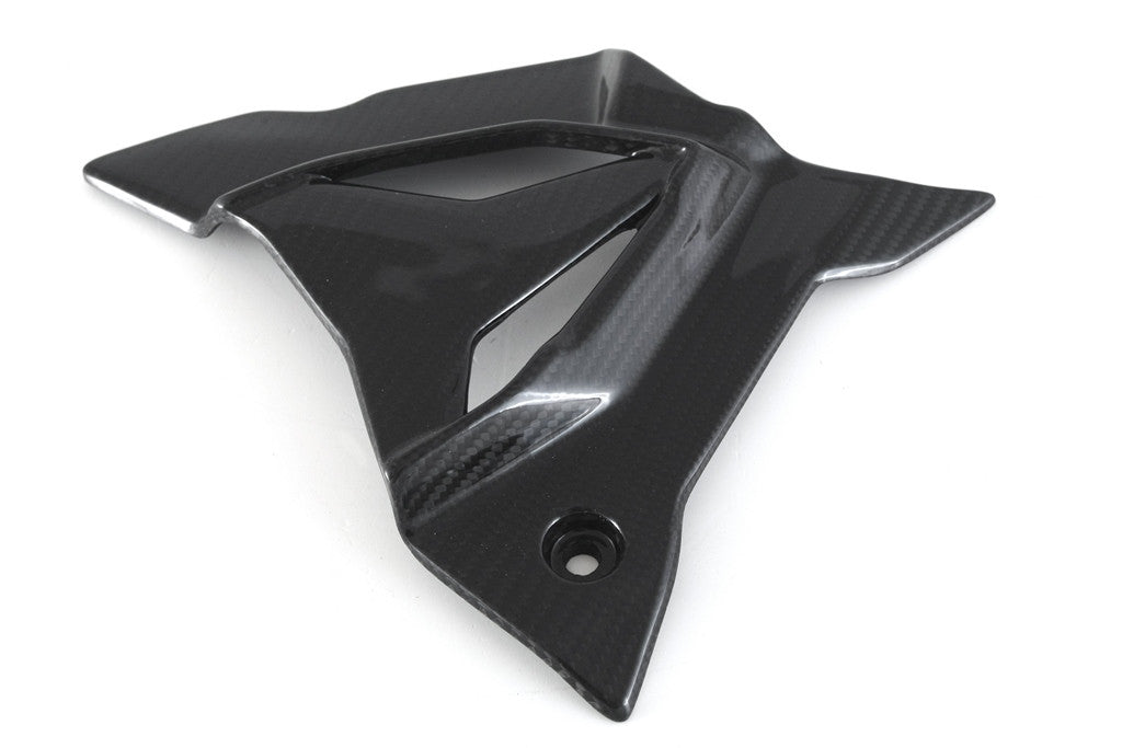 Ritzel kapak Carbon Fullsix BMW S1000RR K67 (19-26) 