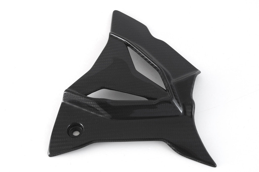 Ritzel kapak Carbon Fullsix BMW S1000RR K67 (19-26) 