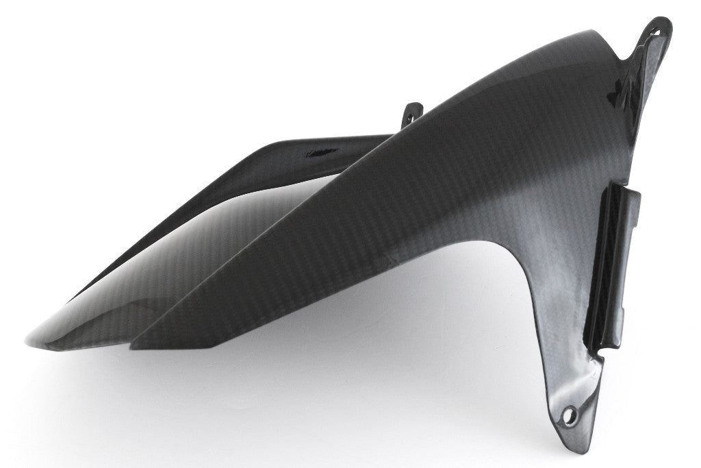 Arka Çamurluk Carbon Fullsix BMW S1000RR K67 (19-26) 