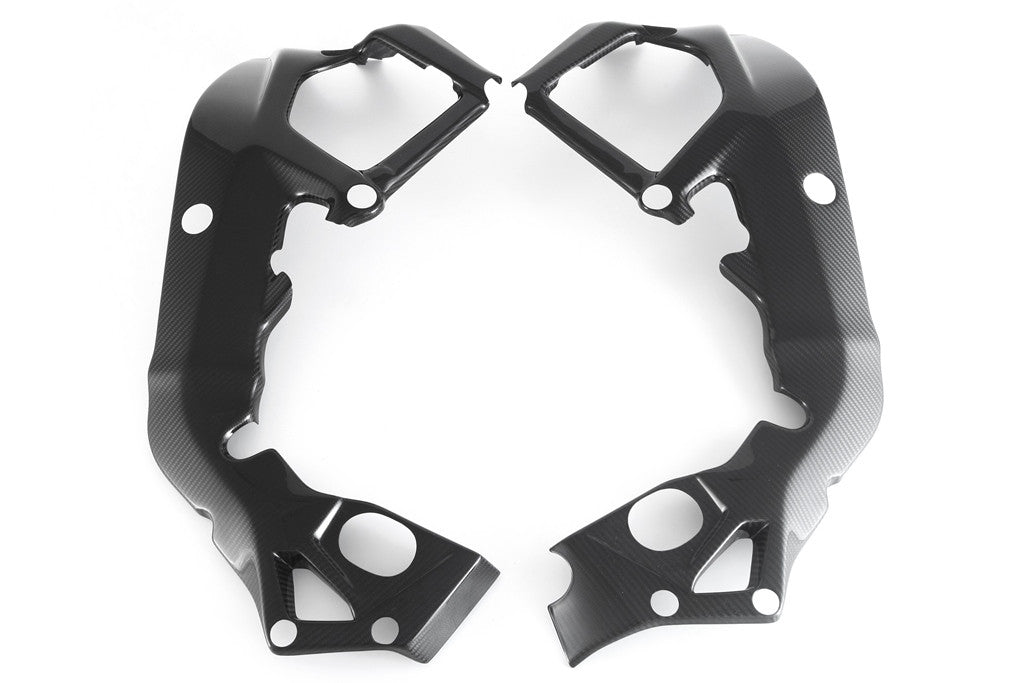 Fullsix Karbon Şasi Kapağı BMW S1000RR K46 (15-18) 